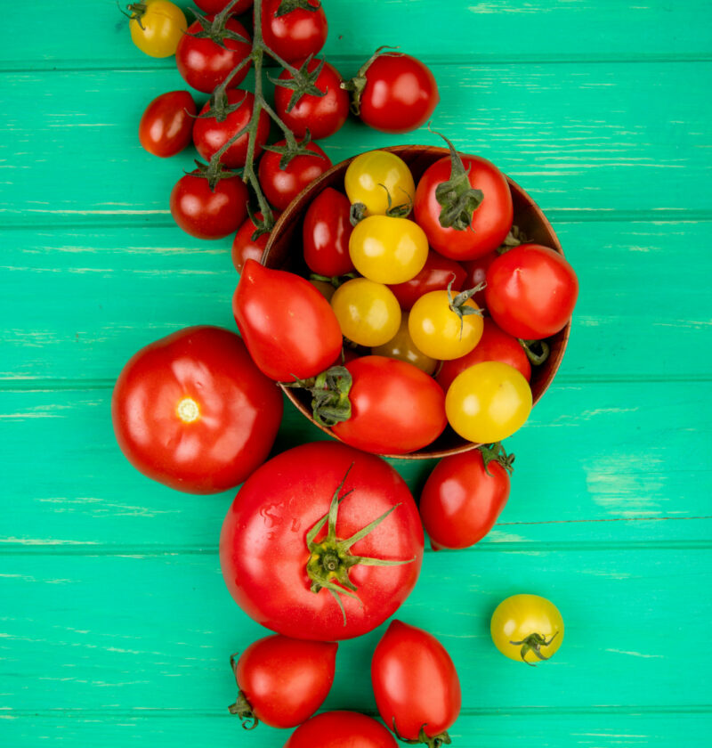 La tomate : star de l'été dans notre cuisine !