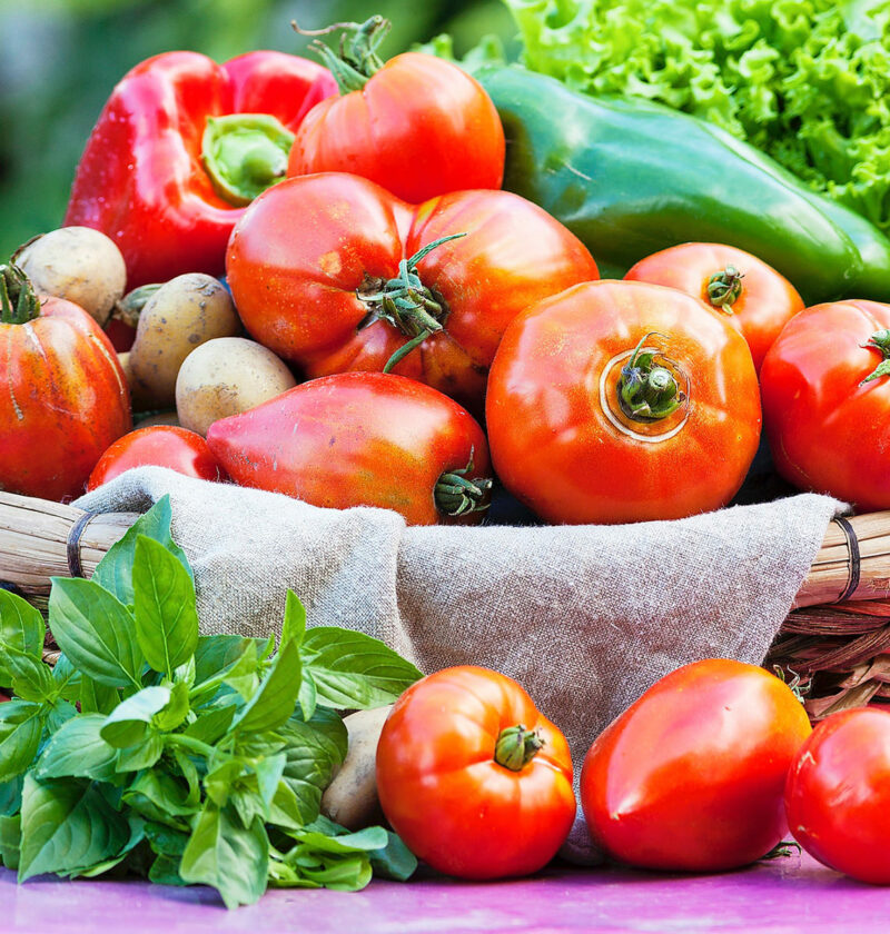 Mes légumes de saison favoris pour l'été : l'abondance de juillet et août dans votre assiette !